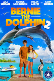 Bernie the Dolphin 2 2019